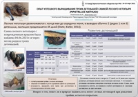 Постер тезисов