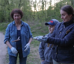 ВЫПУСК РУКОКРЫЛЫХ - 10 МАЯ, 2021 ГОДА