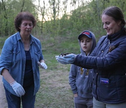 ВЫПУСК РУКОКРЫЛЫХ - 10 МАЯ, 2021 ГОДА