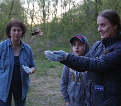 ВЫПУСК РУКОКРЫЛЫХ - 10 МАЯ, 2021 ГОДА