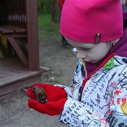 ВЫПУСК РУКОКРЫЛЫХ - 10 МАЯ, 2021 ГОДА