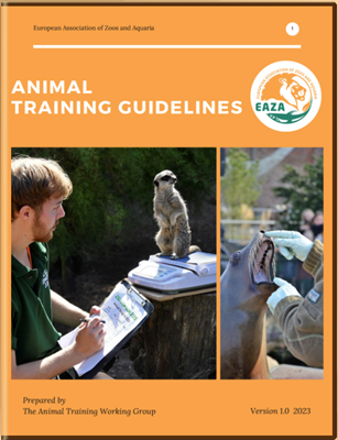 Рекомендации по дрессировки животных