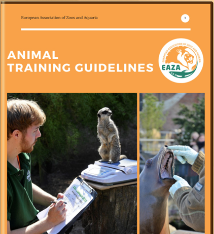 Рекомендации по дрессировки животных