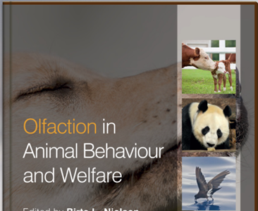 Обоняние как фактор поведения и безопасности животных