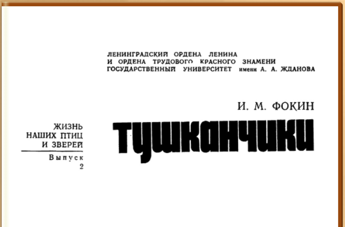 Тушканчики
