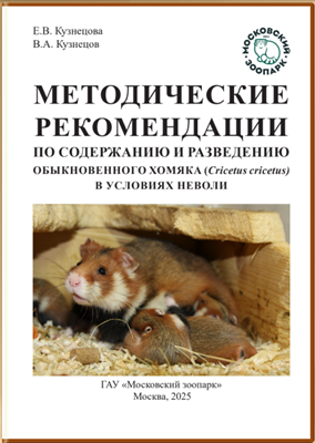 Содержание и разведение обыкновенного хомяка