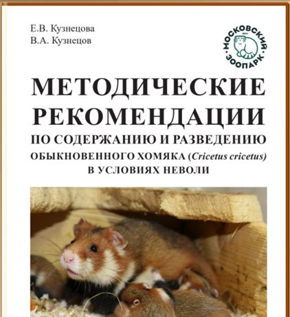 Содержание и разведение обыкновенного хомяка