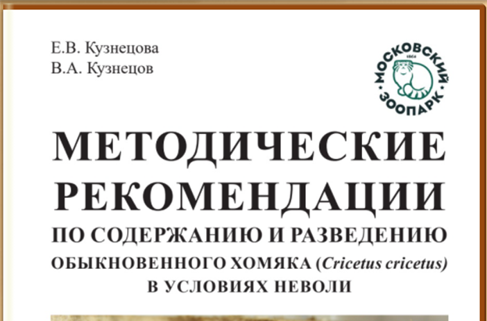 Содержание и разведение обыкновенного хомяка