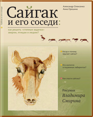 Сайгак и его соседи