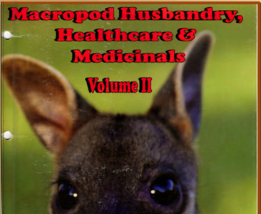 Разведение, уход и лечением макроподов