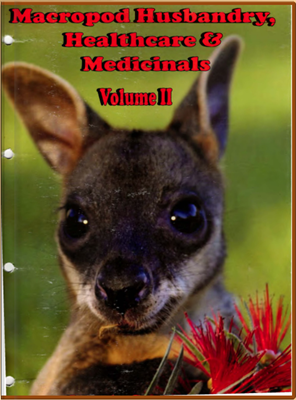 Разведение, уход и лечением макроподов