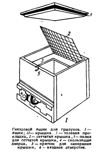 Гнездовой ящик для наблюдений над грызунами в природе
