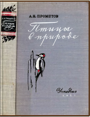 Птицы в природе