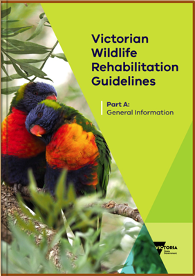 Руководство по реабилитации диких животных в штате Виктория, Австралия