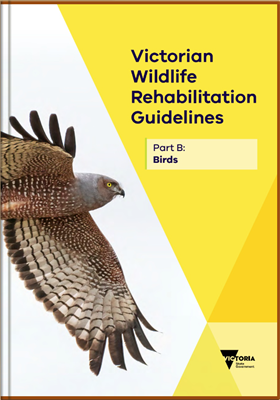 Руководство по реабилитации диких животных в штате Виктория, Австралия