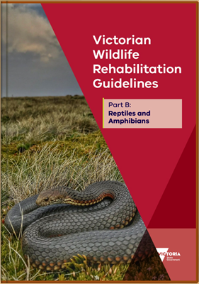 Руководство по реабилитации диких животных в штате Виктория, Австралия