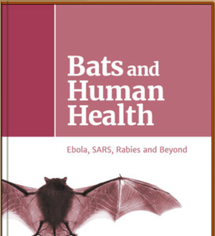 Летучие мыши и здоровье человека
