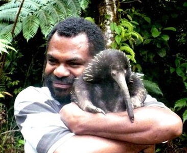 Индивидуальные территории, передвижение и использование убежищ проехиднами (Zaglossus Bartoni) из Папуа-Новой Гвинеи