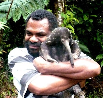 Индивидуальные территории, передвижение и использование убежищ проехиднами (Zaglossus Bartoni) из Папуа-Новой Гвинеи