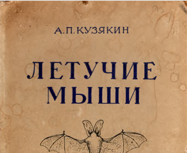 Летучие мыши