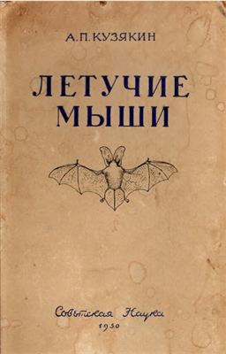 Летучие мыши