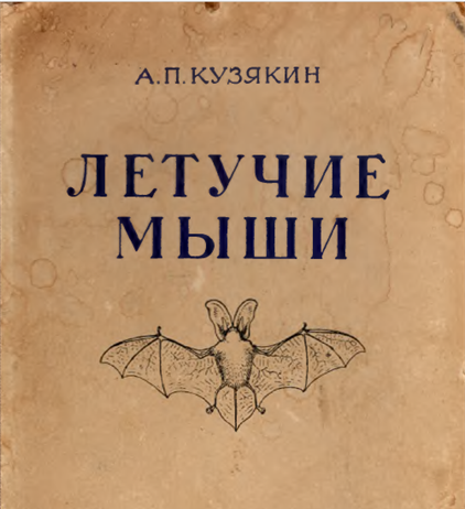 Летучие мыши