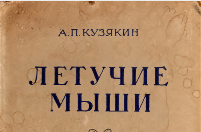 Летучие мыши