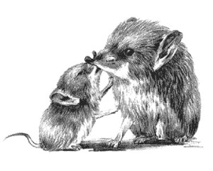 Прыгунчики-родители