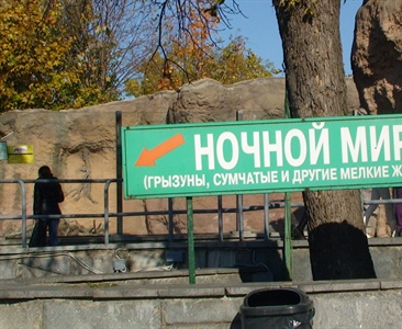 Ночной мир