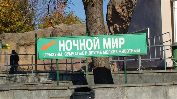 Ночной мир