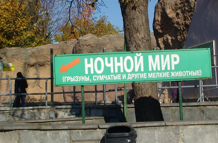 Ночной мир