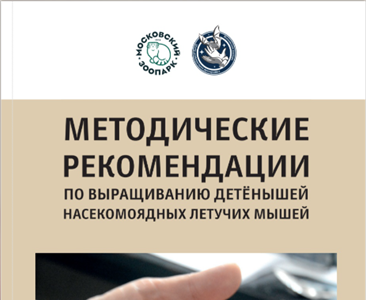 Рекомендации по выращиванию летучих мышей