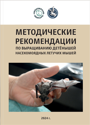 Рекомендации по выращиванию летучих мышей