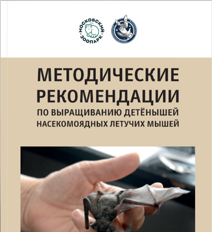 Рекомендации по выращиванию летучих мышей