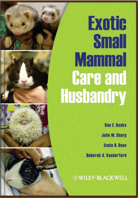 Уход за мелкими экзотическими млекопитающими и их разведение