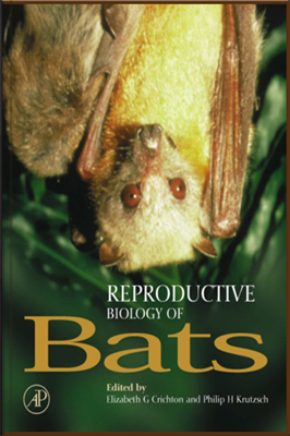 Репродуктивная биология летучих мышей