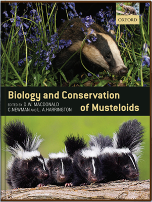 Биология и сохранение куньих