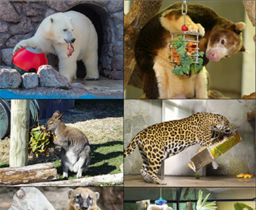 Теоретические основы работы по обогащению среды