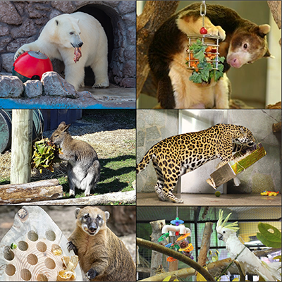 Теоретические основы работы по обогащению среды