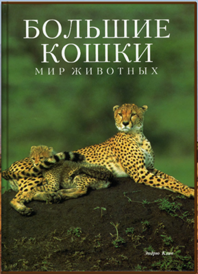 Большие кошки