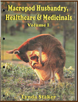 Кенгуровые